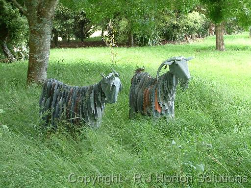 Goats in grass 